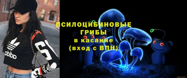 ешки Володарск