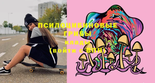шишки Волосово
