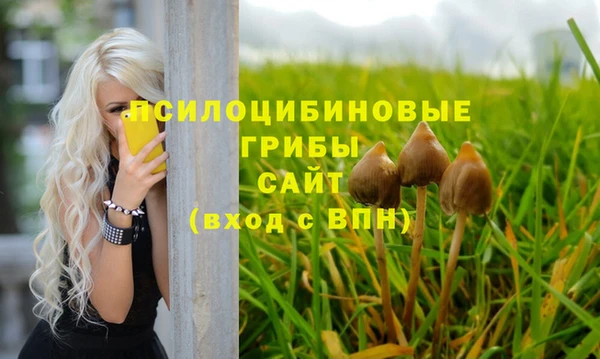 шишки Волосово