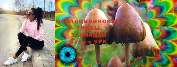 ешки Володарск