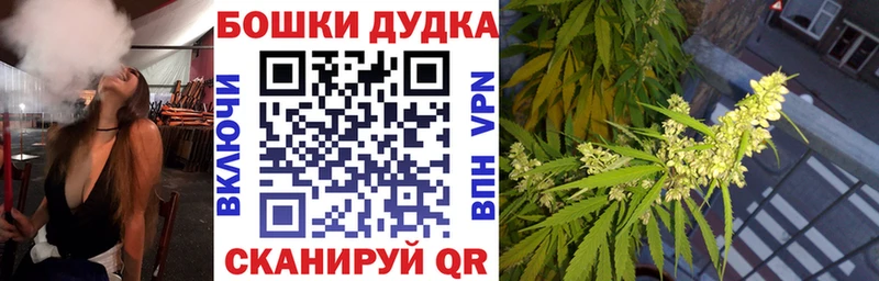 Каннабис сатива  Новое Девяткино 